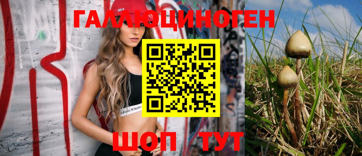 Галлюциногенные грибы Psilocybine cubensis  Вход с VPN  Назрань 